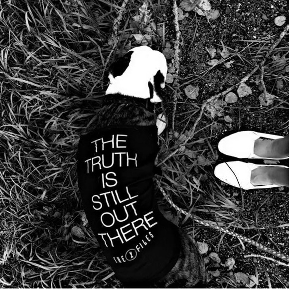 ⚡️TROLLEYWOOD IS LIVE!⚡️ - Picture 15 of 16